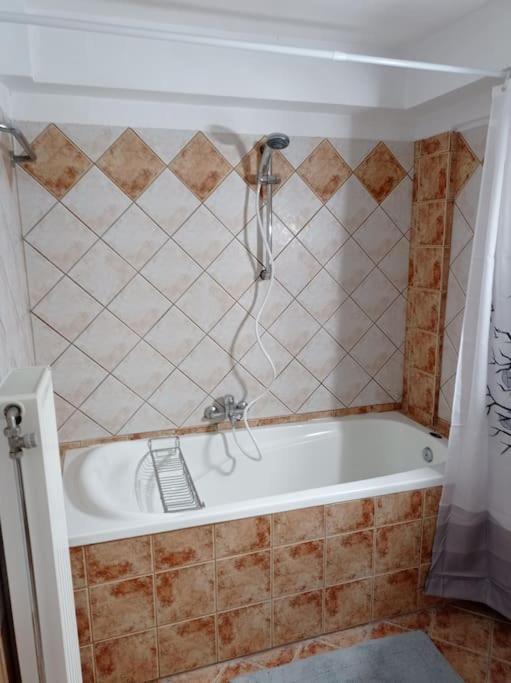 Apartamento Trikala Alex House Exterior foto