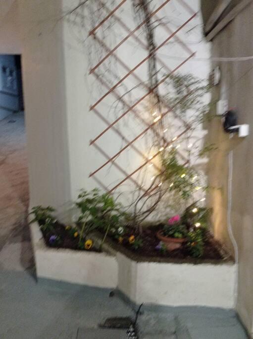Apartamento Trikala Alex House Exterior foto