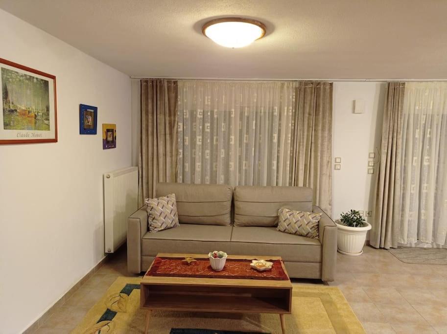 Apartamento Trikala Alex House Exterior foto